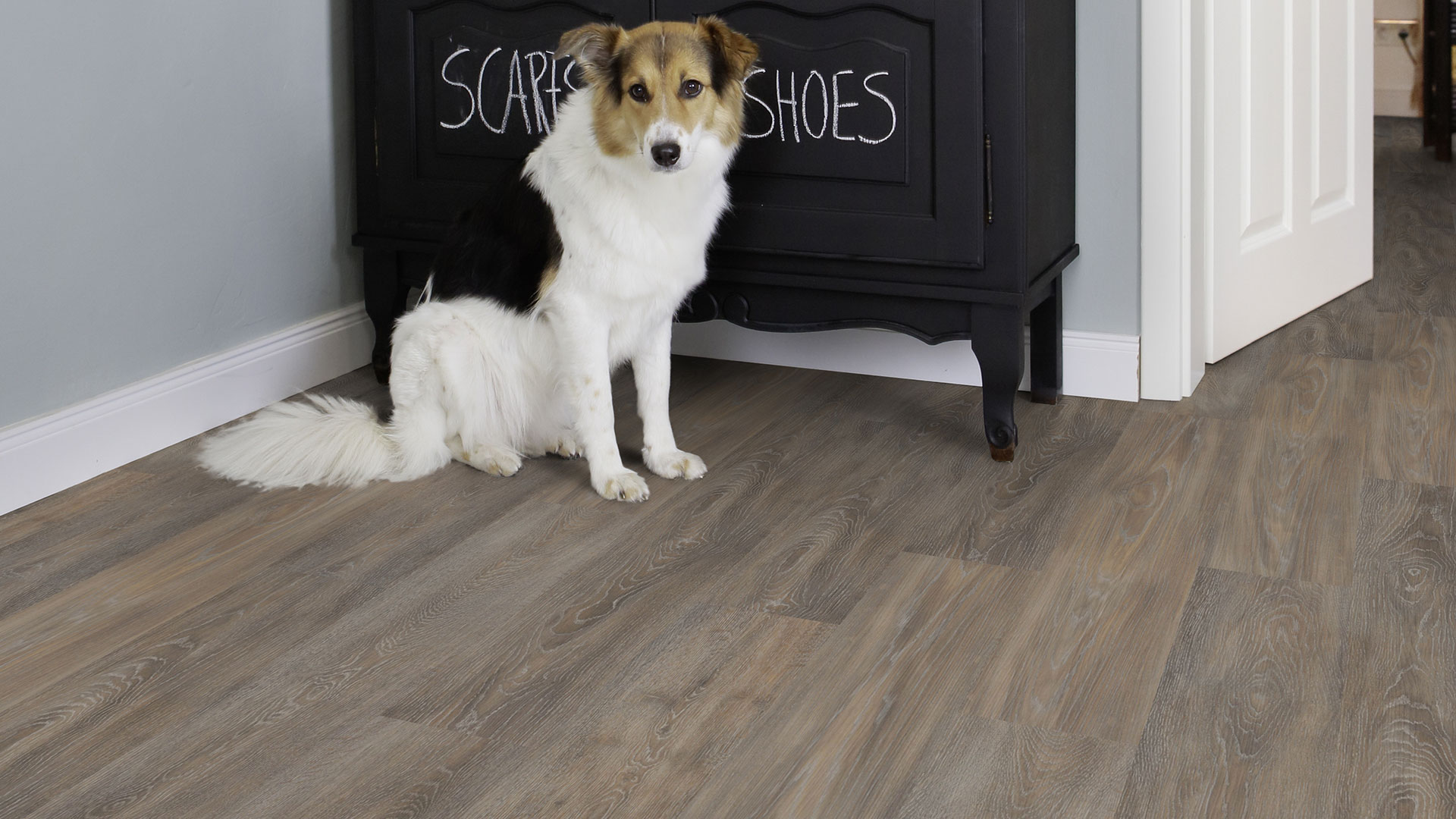 Ein sitzende Hund auf Parkettboden